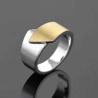 Modern silver and gold ring