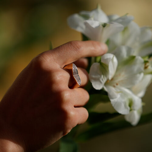18ct yellow gold ring with diamonds