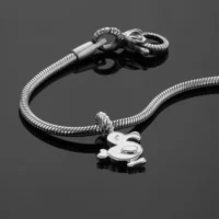 Silver dodo charm hanger