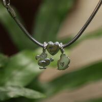 Mauritius dodo and island charms