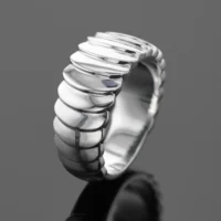 Polished silver ring